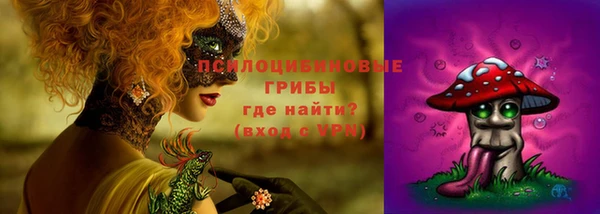 соль курить ск Алзамай