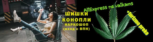 дживик Алексин