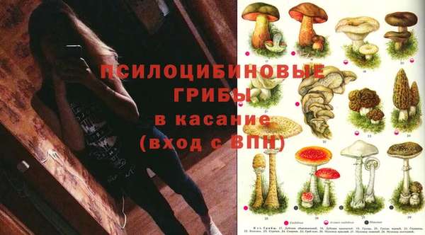 индика Алексеевка
