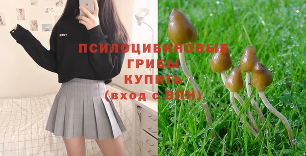индика Алексеевка
