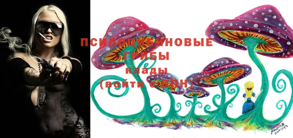 дживик Алексин
