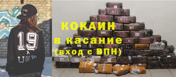 индика Алексеевка